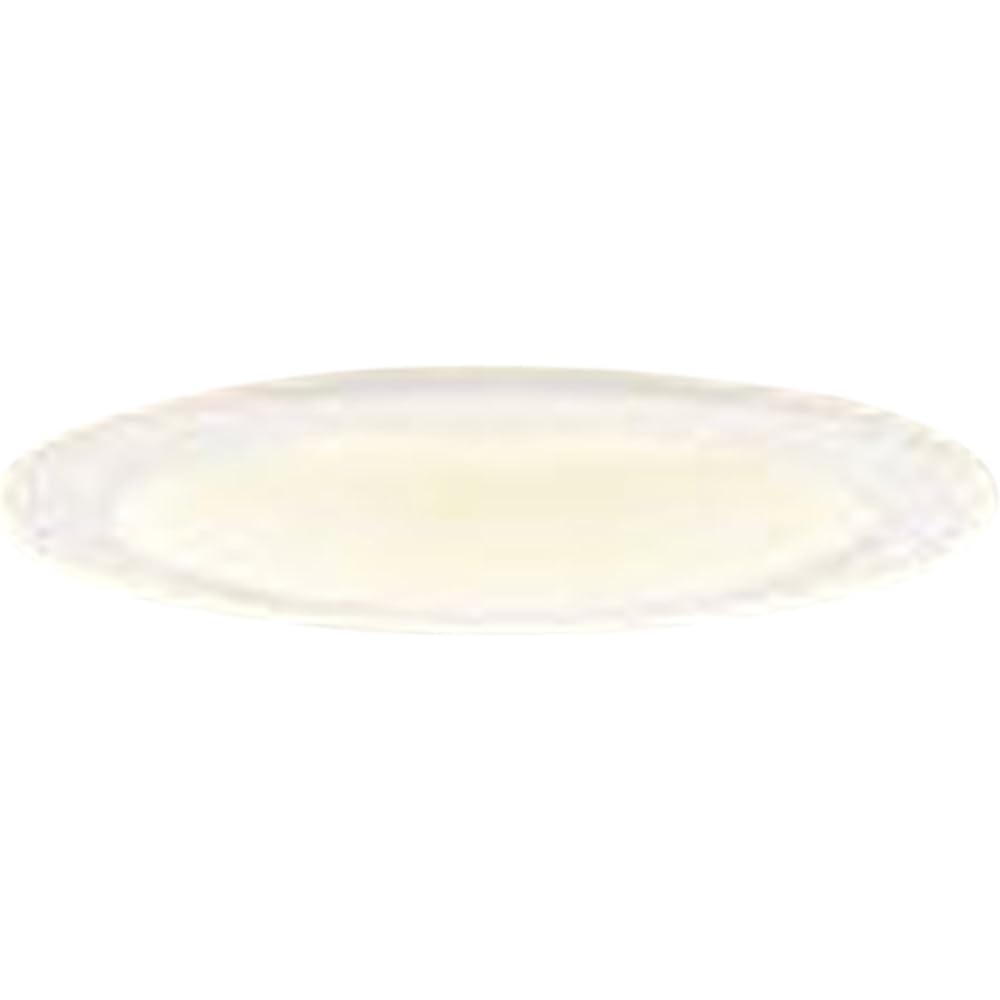 Panasonic LED downlight 60 type concentrating warm white LGB73401LB1