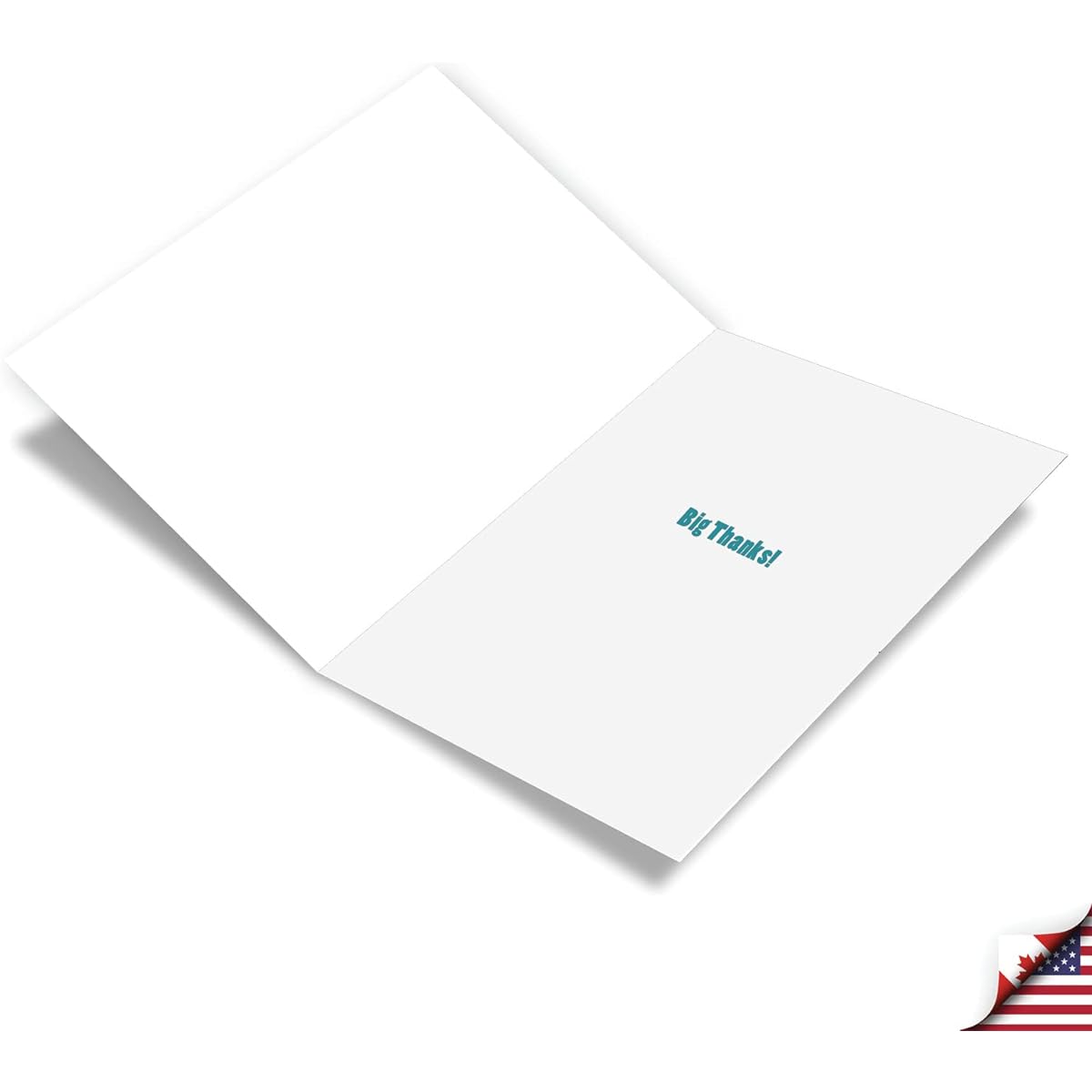 NobleWorks Humorous Thank You Greeting Card with 5 x 7 Inch Envelope (1 Card) Big Difference Priest C8204TYG
