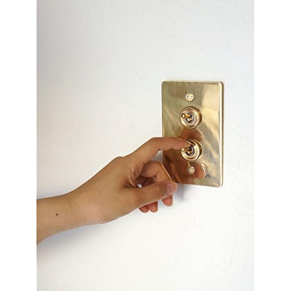 Axis/Homestead+Brass Plate Switch Double+Toggle Switch+HS2336