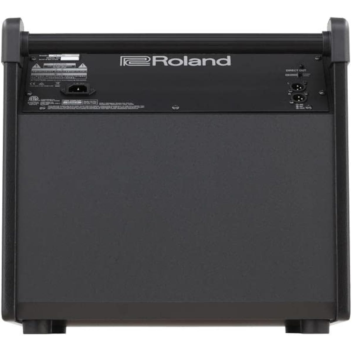 Roland ROLAND PM-200 Personal Monitor Personal monitor speaker