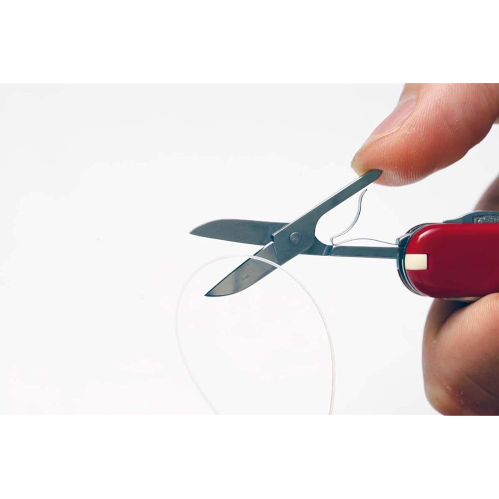 Victorinox Classic SD (Black) 64313