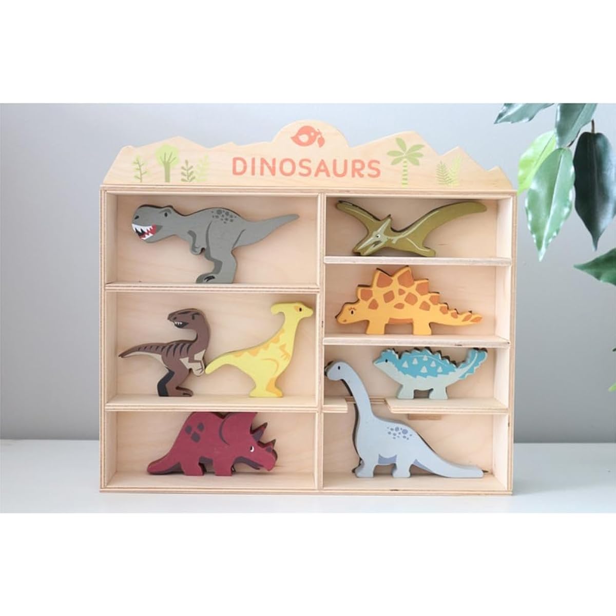 Dinosaur Display Shelf Set