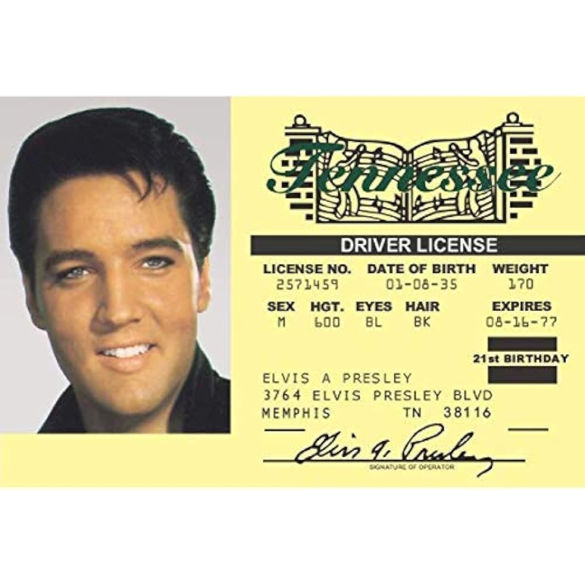 Sign 4 Fun NEID2 Elvis ID Yellow