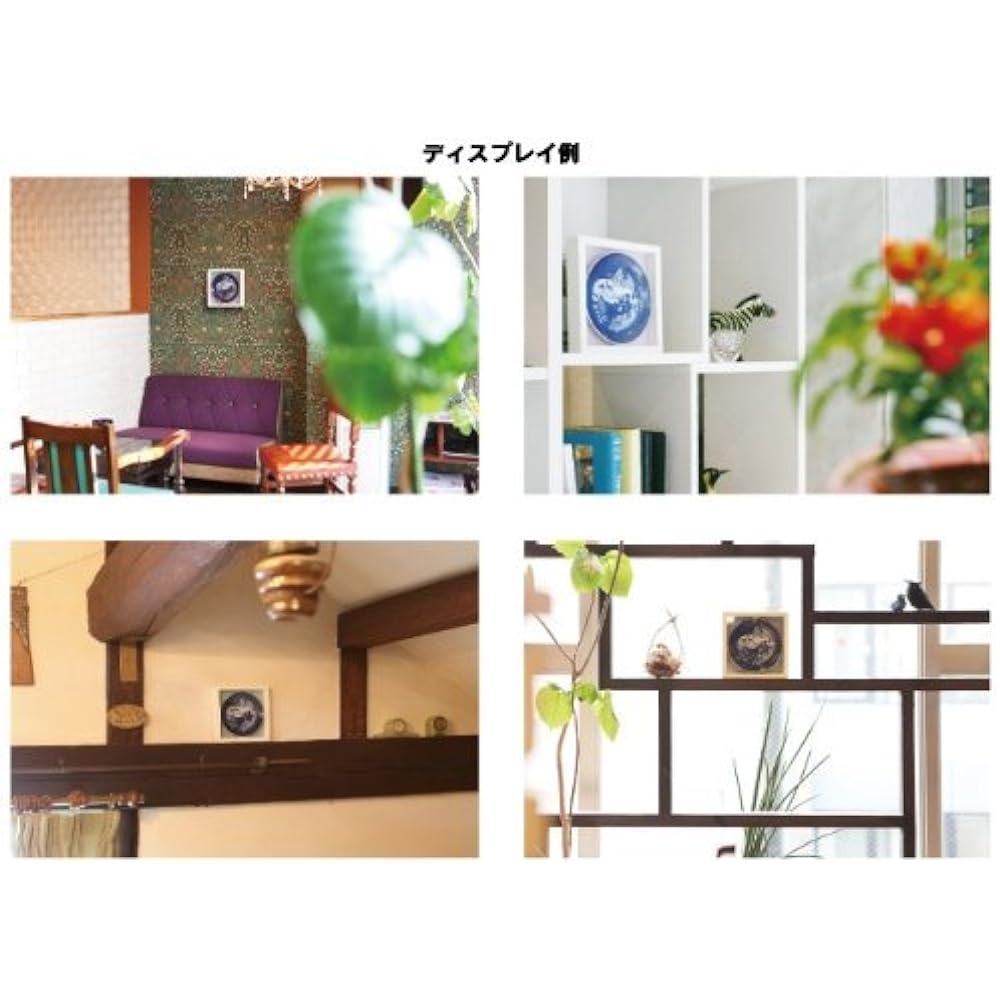 Royal Copenhagen ear plate dedicated frame white (wallpaper page) Frame only/UV cut acrylic board used W-BE