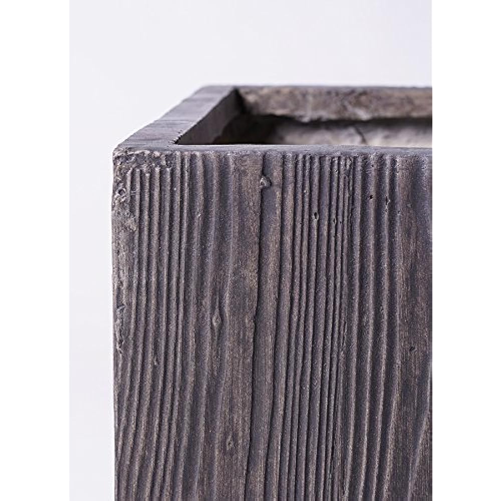 HitoHana Kapok (Schefflera) No. 8 Beta Cube Planter Wood Tea