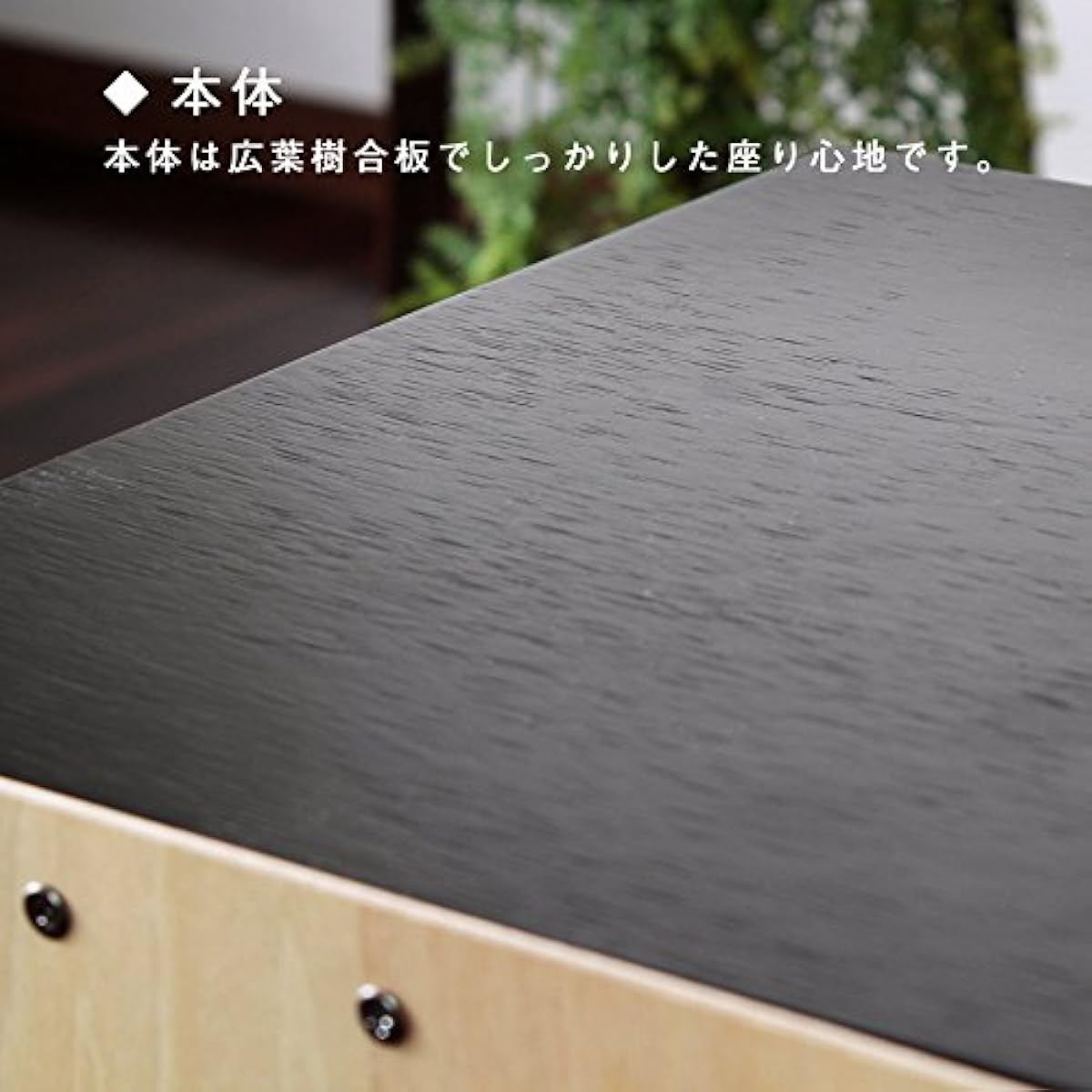 Cajon (with Snappy) Made in Japan TCA-2