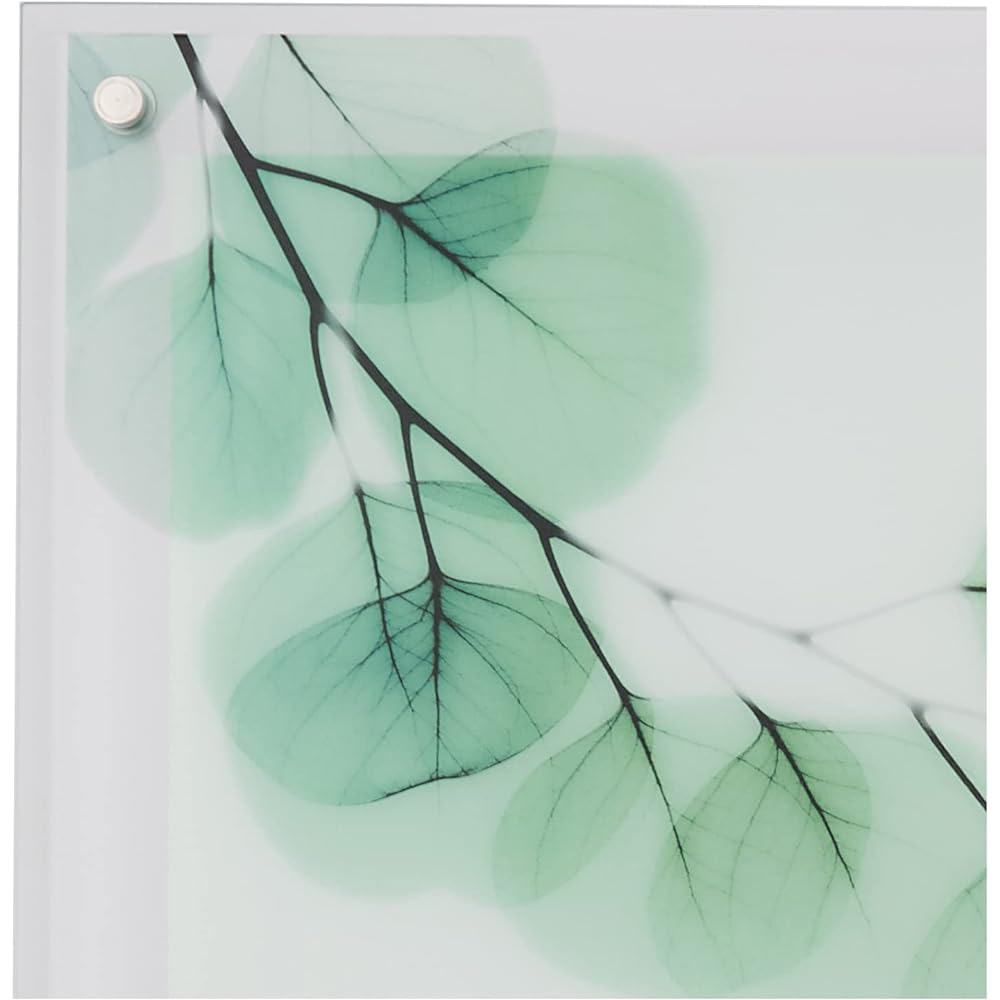 U-Power Plants/Flowers Green W30 x H30 x D2cm