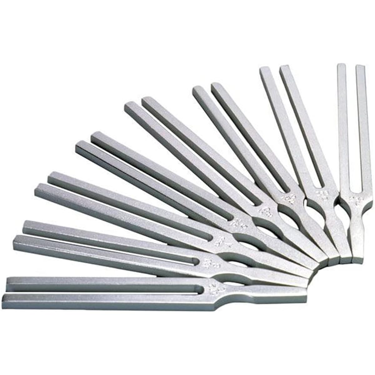 United Scientific Supplies Tuning Fork TFK100
