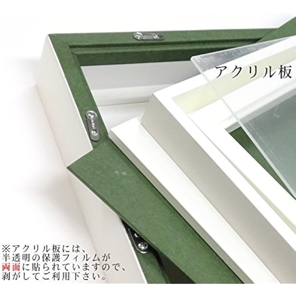 Doshisha Oil Painting Frame Duet Acrylic Specification (Off White, F3)