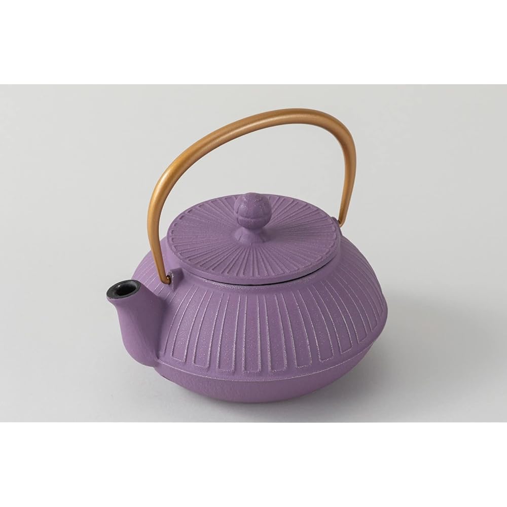 Iwachu Teapot 5 Type Chrysanthemum Silver/Lavender 0.65L Enamel Inside Nambu Ironware 44550