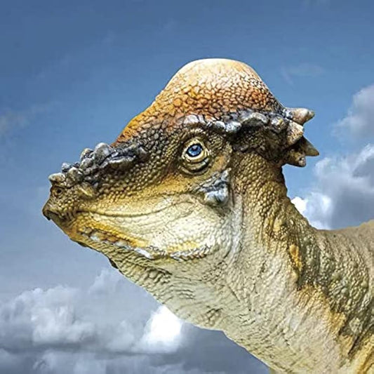 PNSO Pachycephalosaurus Austin Dinosaur Model Toy Collectible Tyrannosaurus Rex Dinosaur Science Art Model Real Animal Figure PVC Premium Plastic Model Painted Finished Product