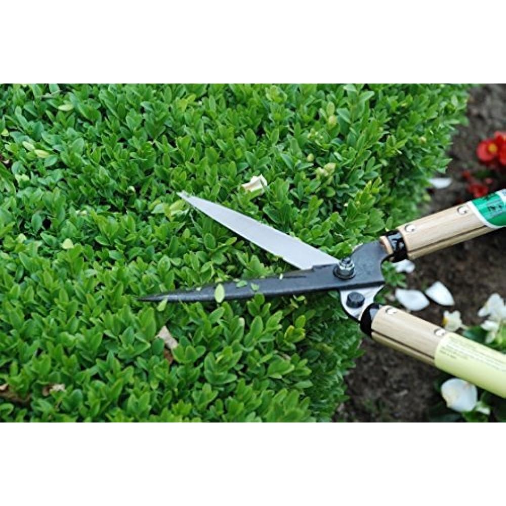 Tsune Oka pruning shears type 55