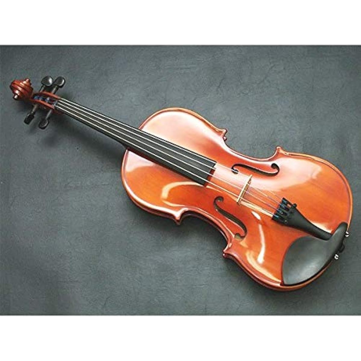 Carlo Giordano Viola Outfit VL-1 15.5 inch