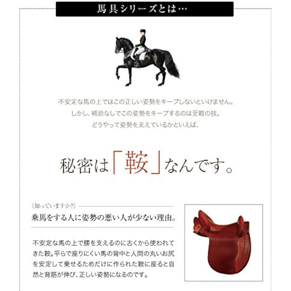 PROIDEA Horse Tackle Mat Premium