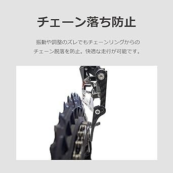 lifactlab. Chain Catcher Road Bike Carbon Chain Watcher Bicycle Fall Prevention (Fixed Type)