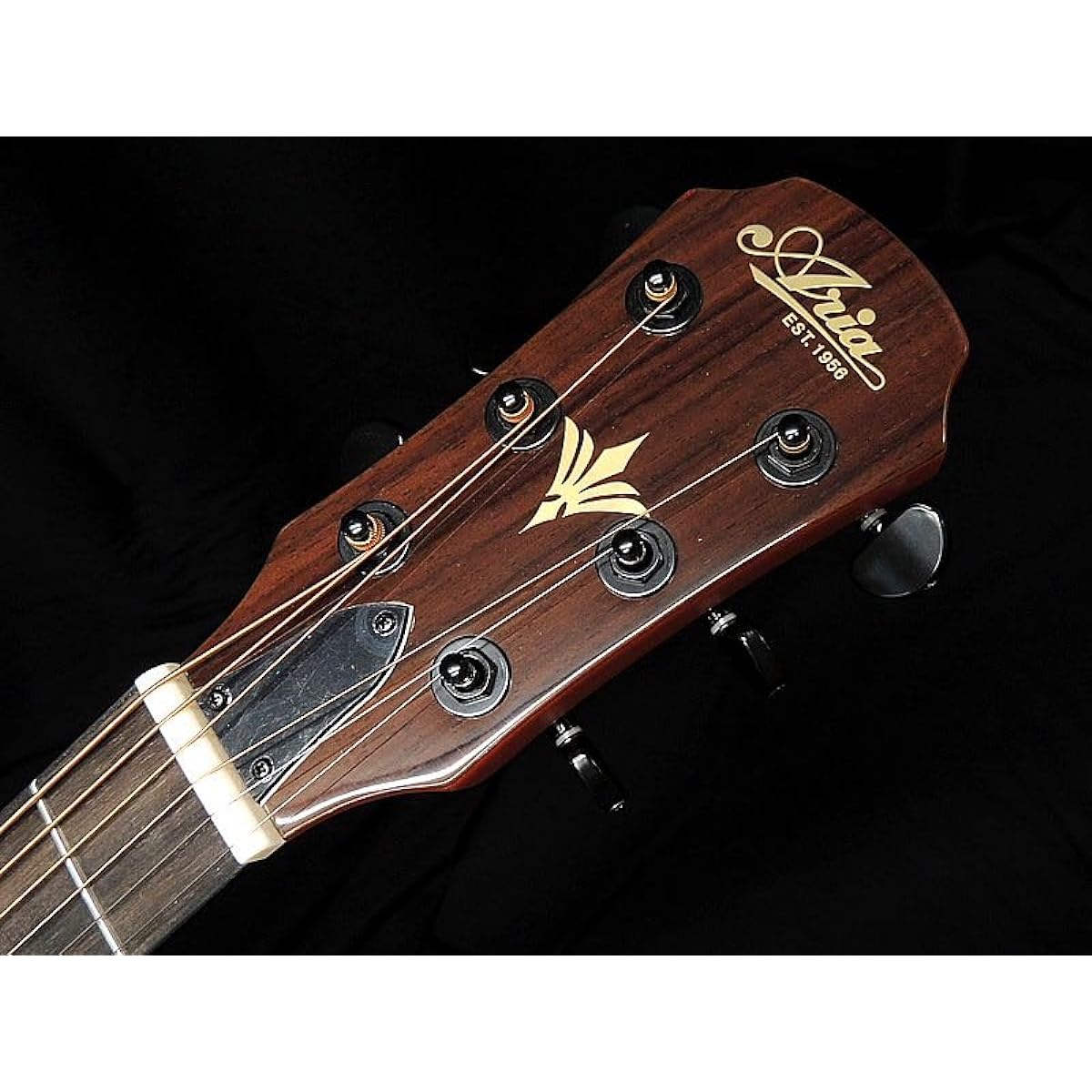 [Special color] ARIA FET-F2 BSG F-hole electric acoustic original color Brown sunburst gloss finish