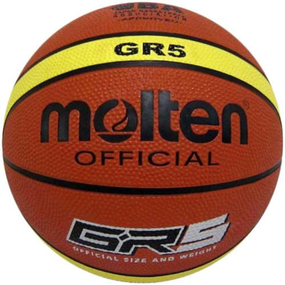 [LEADING EDGE] Leading Edge Basketball Goal DX LE-BS305DX & Molten