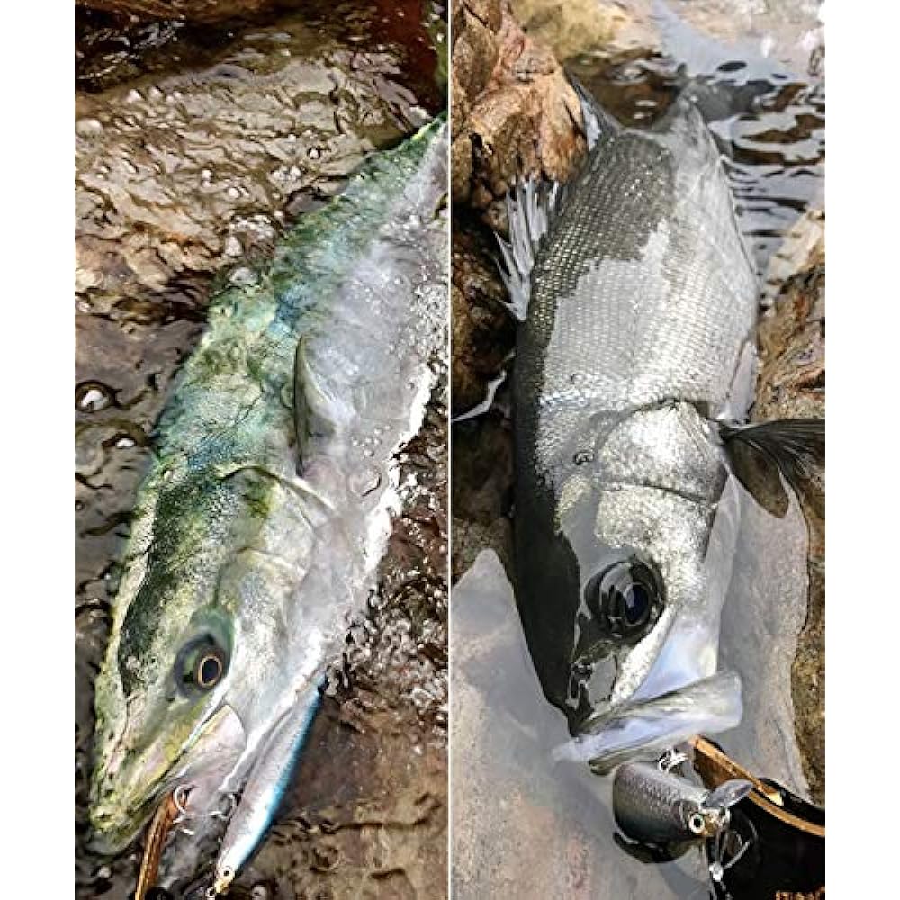 SHIMANO Seabass Lure Minnow Exsense Goliath High 95F Jet Boost XL-195Q
