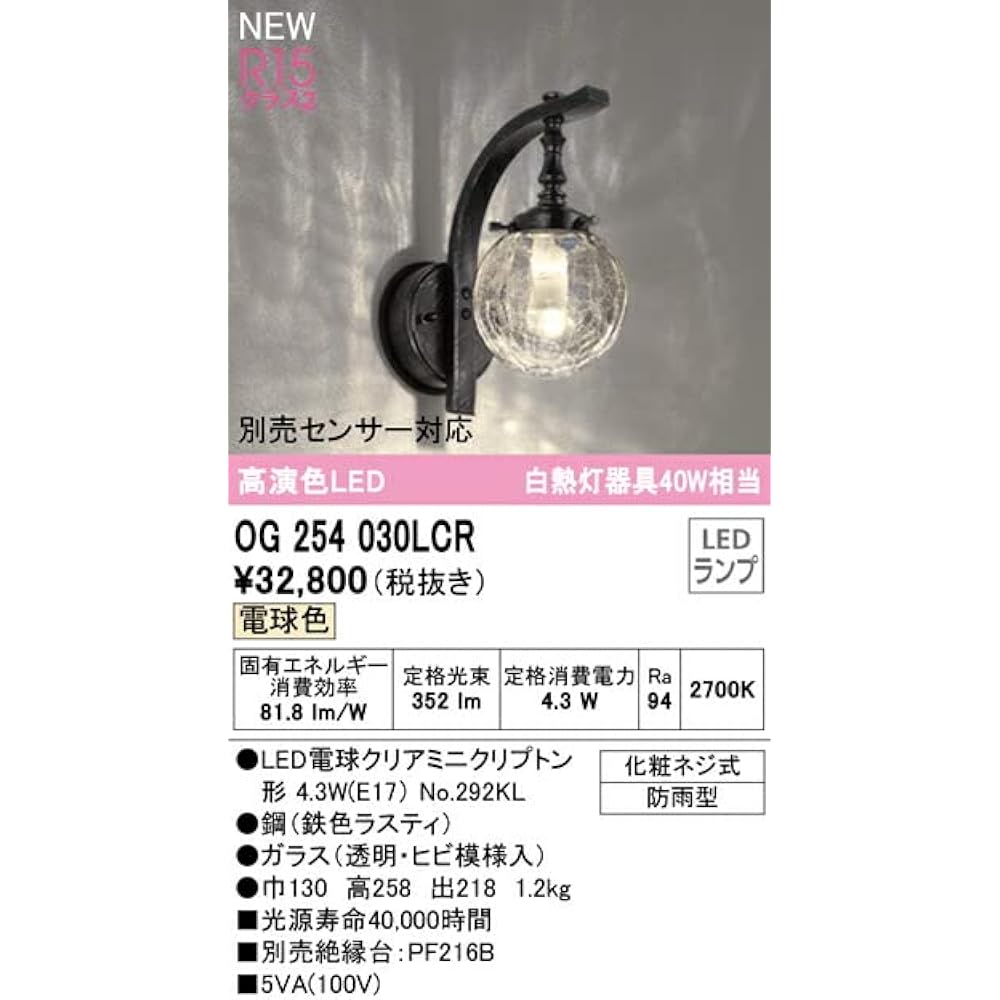 Orderic LED Porch Light Bulb Separate Packaging OG254030LCR