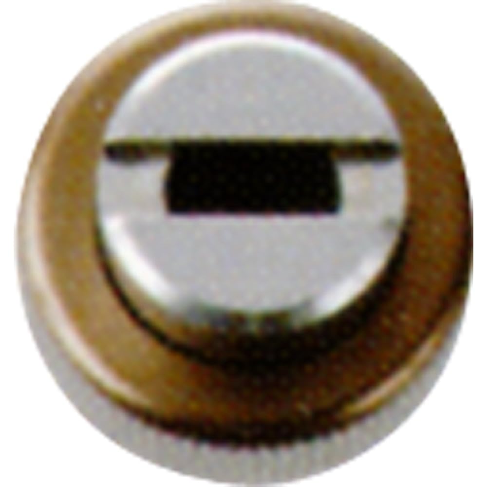 Nagata Seisakusho Foam Nozzle AST-10(G1/4) 1130900