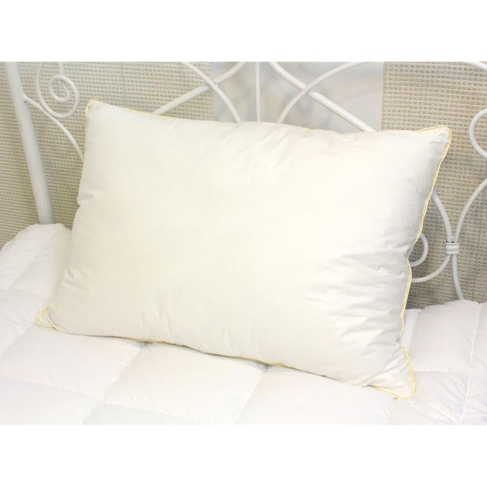Danfill Fiber Pillow Premium Light with Premier Satin Pillow Cover JPA126-AKF02-4