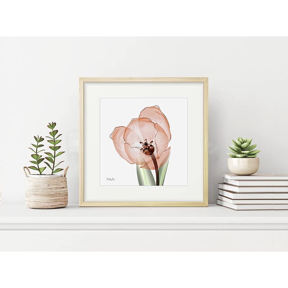 Painting "Red Tulip" Interior Painting Flower Art Panel Framed (Height 32cm x Width 32cm)