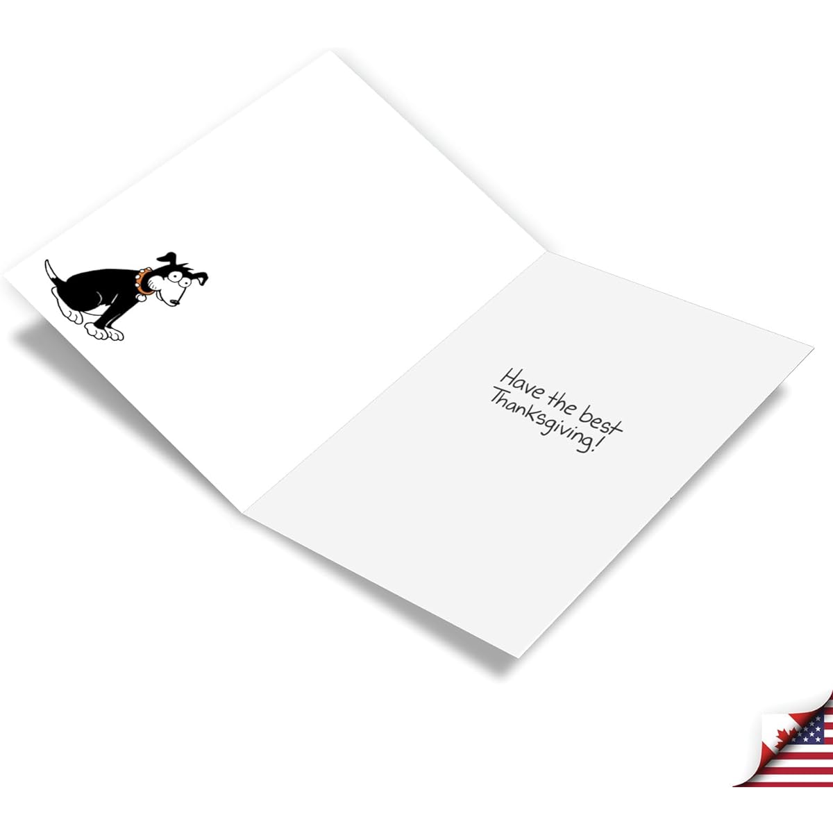 NobleWorks Humorous Thanksgiving Greeting Cards with 5" x 7" Envelopes (1 Card) Leftunders C10157TGG
