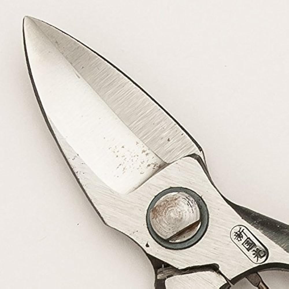 Tohoku cutlery Shinkunimitsu Pruning shears Pumpkin cutting shears