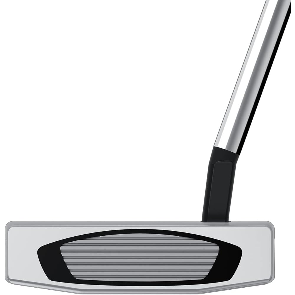 TAYLOR MADE SPIDER GT Notchback Putter Small Slant Men's Golf Club Right Hand PT Hosel Type: Small Slant
