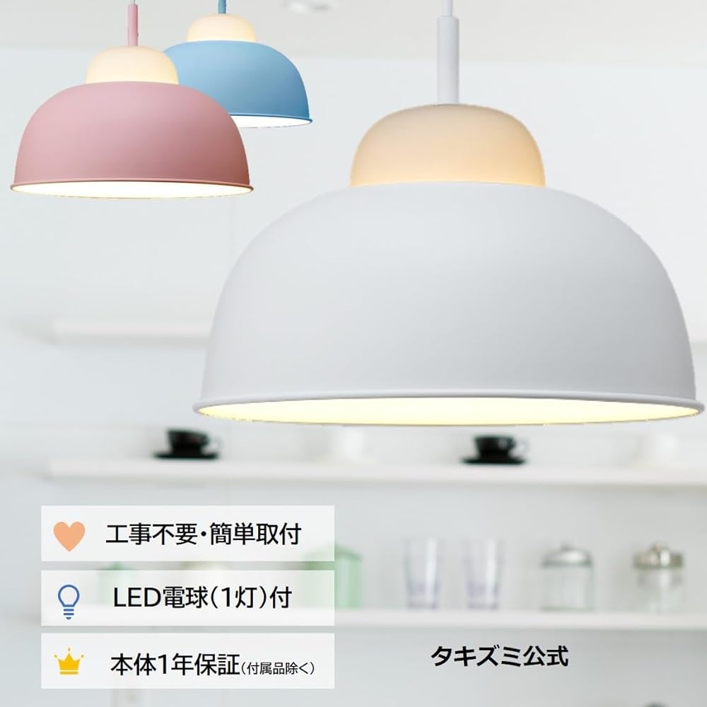 Takizumi Steel Sade Pendant Light with 1 LED Bulb (White) GL1115PWH