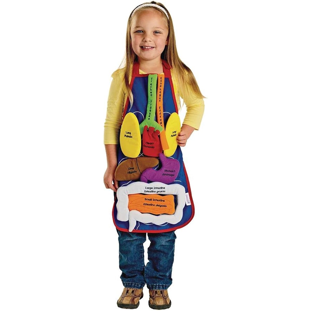 Excellerations 14.5 x 22 Inch Healthy Body Organ Apron 9 Pieces Educational Toys Kindergarten Health Education Human Body Kids Toys