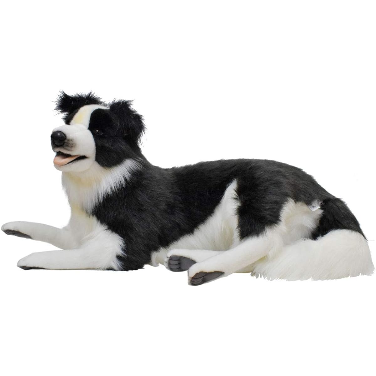 HANSA Border Collie 84.99x40.01x32 cm Acrylic No.4564