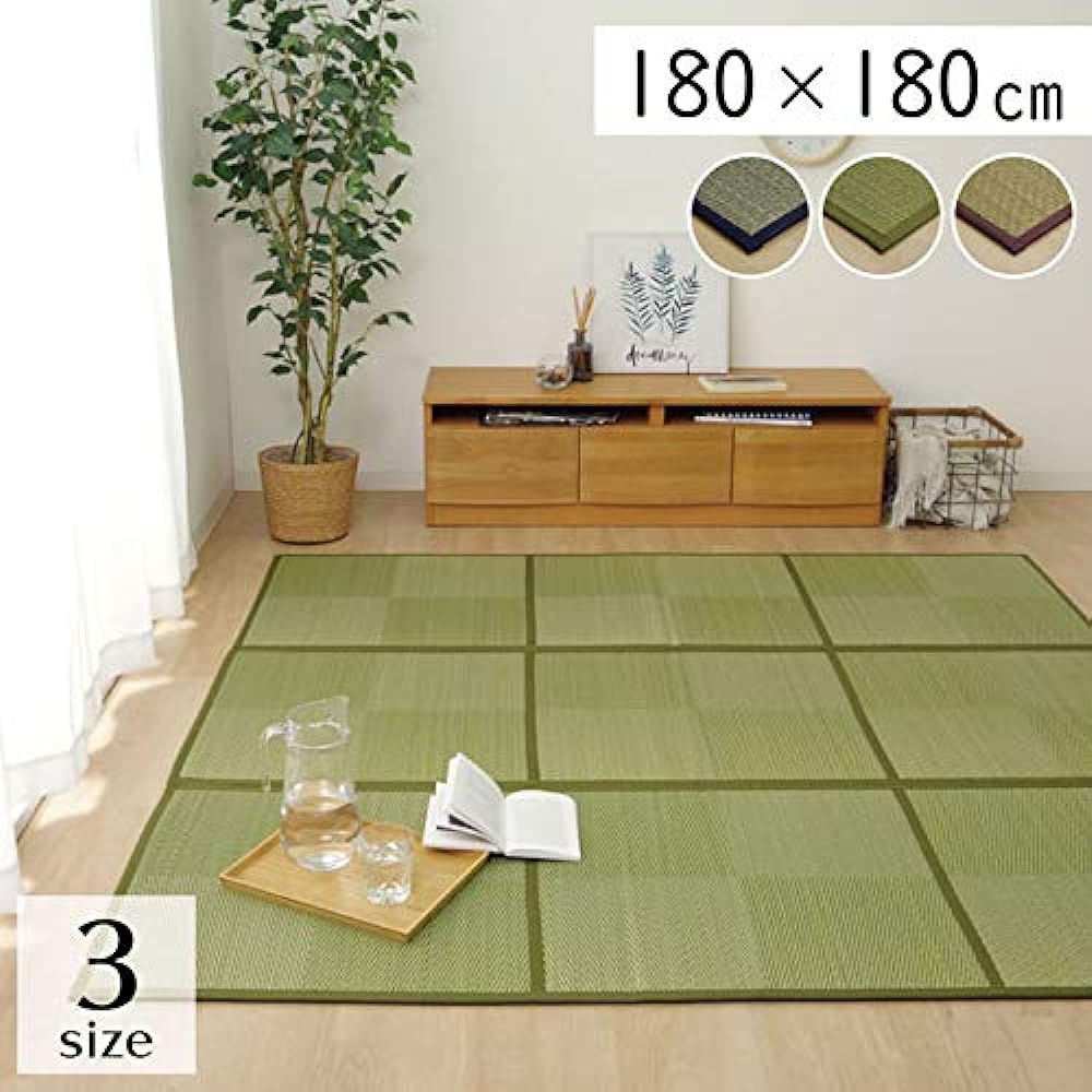 Ikehiko Igusa Rug Carpet Connecting Noah Approx. 180✕180cm Green #8477870