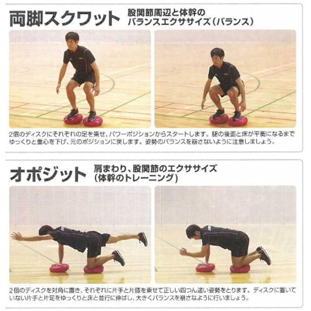 Kramer Japan agility disc (balance disc) 2 pieces + air pump balance set SC000148