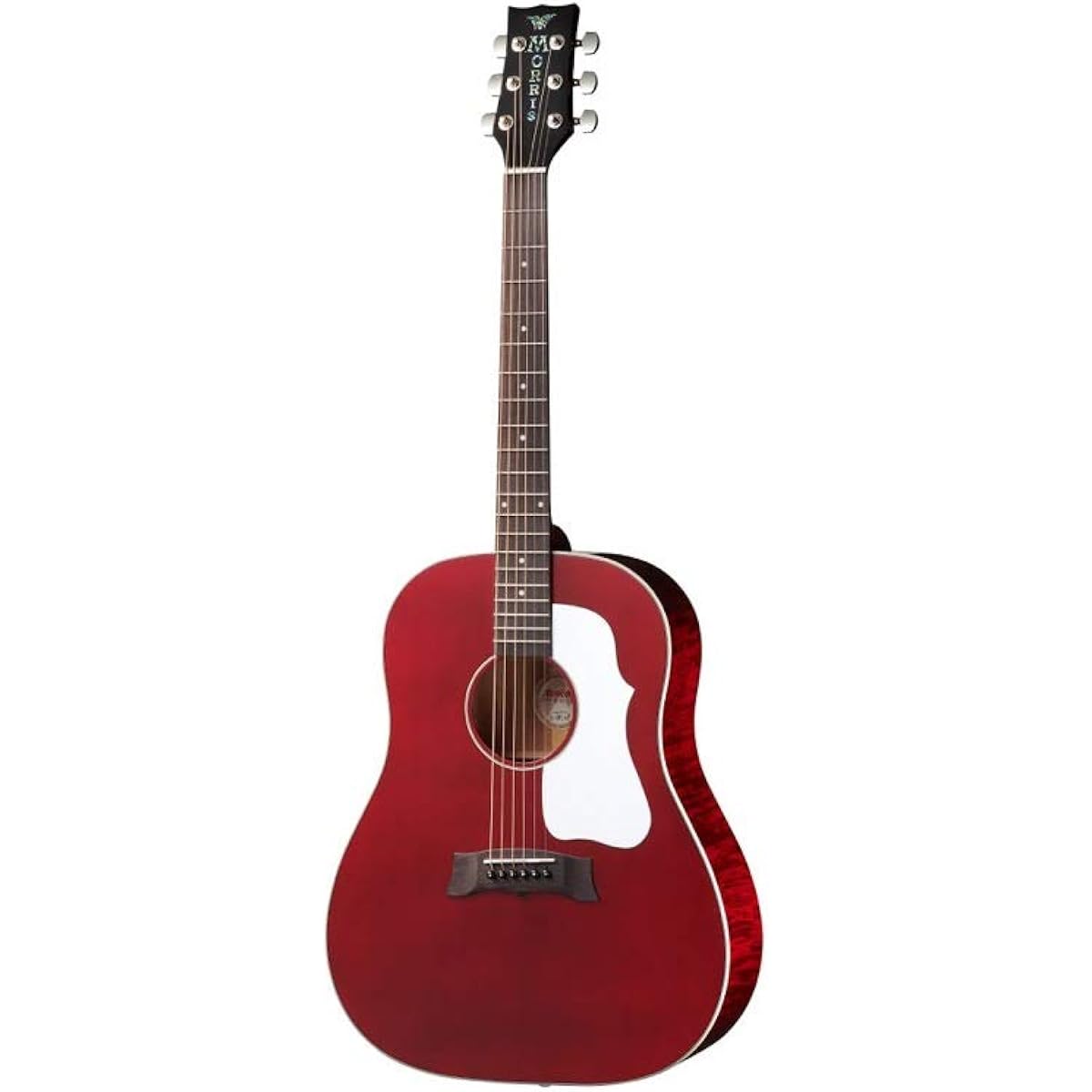 Morris/G-021 WR Morris acoustic guitar