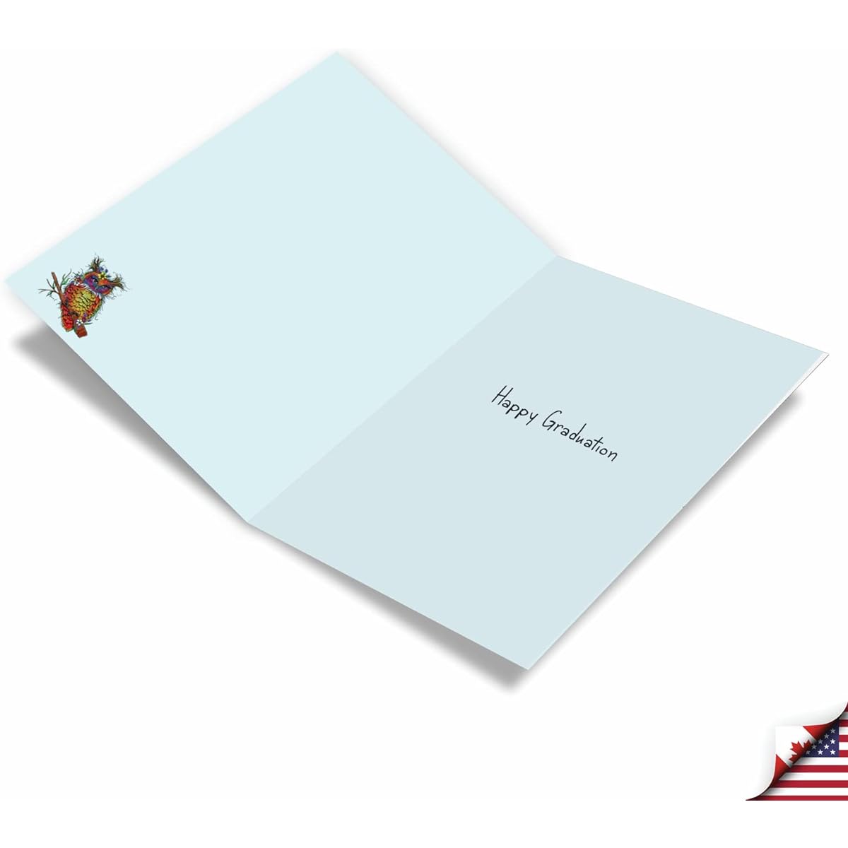 NobleWorks Graduation Greeting Cards (Graduates) with 5 x 7 Inch Envelopes (1 Card) Wiry Wildlife-Owl C10324CGDG
