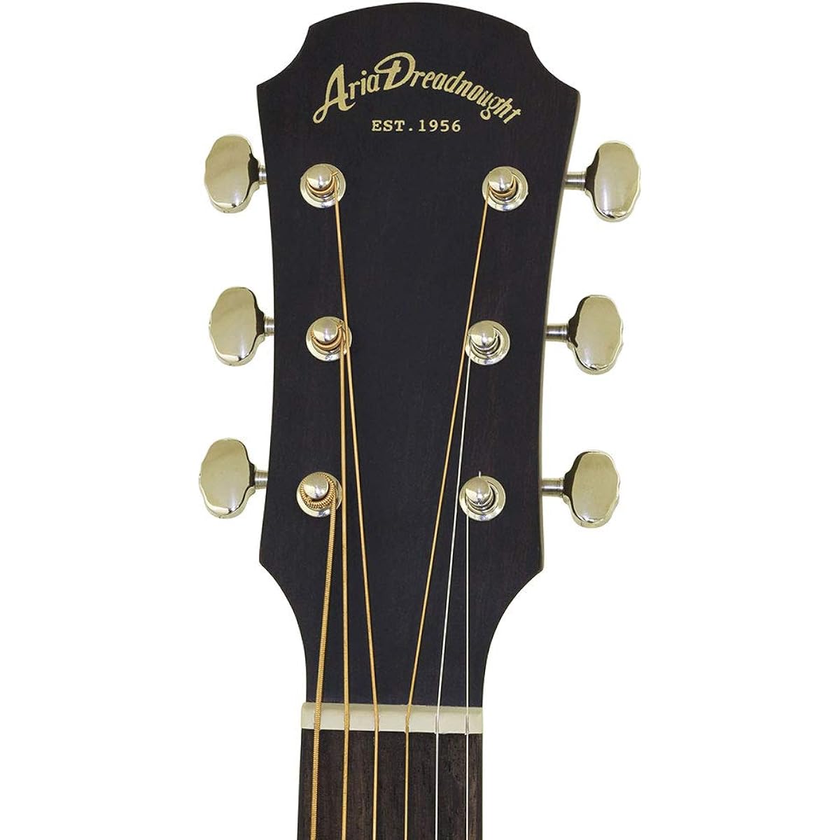 ARIA AF-105RWE N Electric Acoustic Guitar Aria