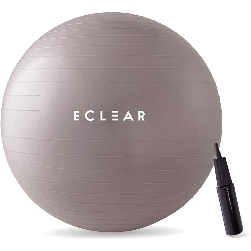 ELECOM Balance Ball 65cm Fitness with Air Pump Gray HCF-BB65GY