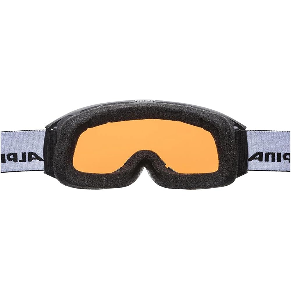 ALPINA Ski Snowboard Goggles Unisex Double Lens Anti-Fog Glasses Can Be Used NAKISKA DH