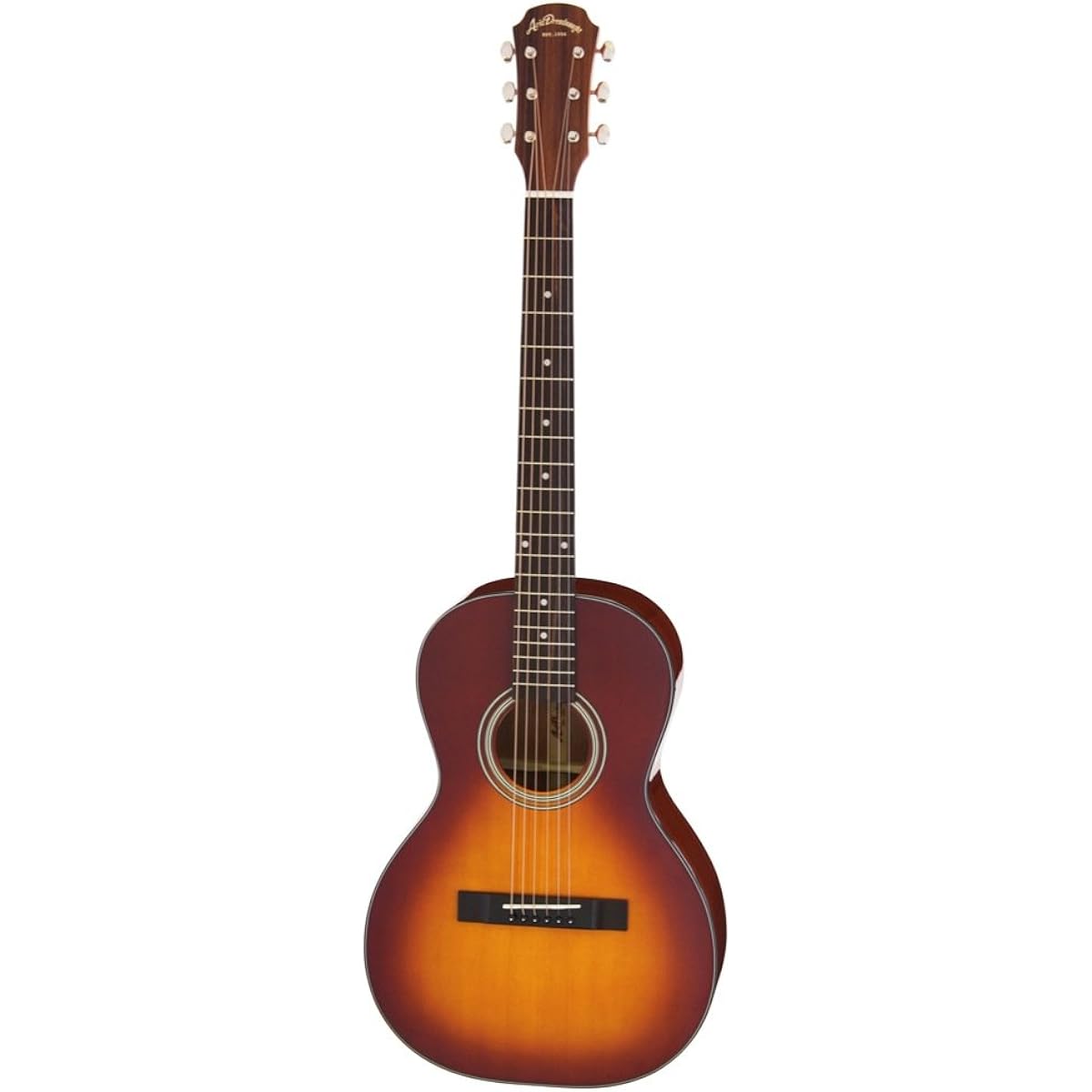 ARIA Acoustic Guitar with Soft Case ADL-231 TS