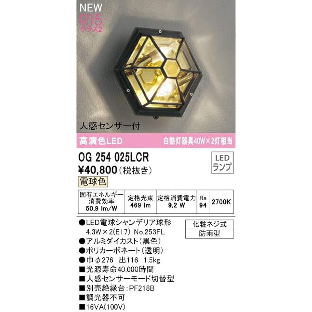 Orderic LED Porch Light Bulb Separate Packaging OG254025LCR