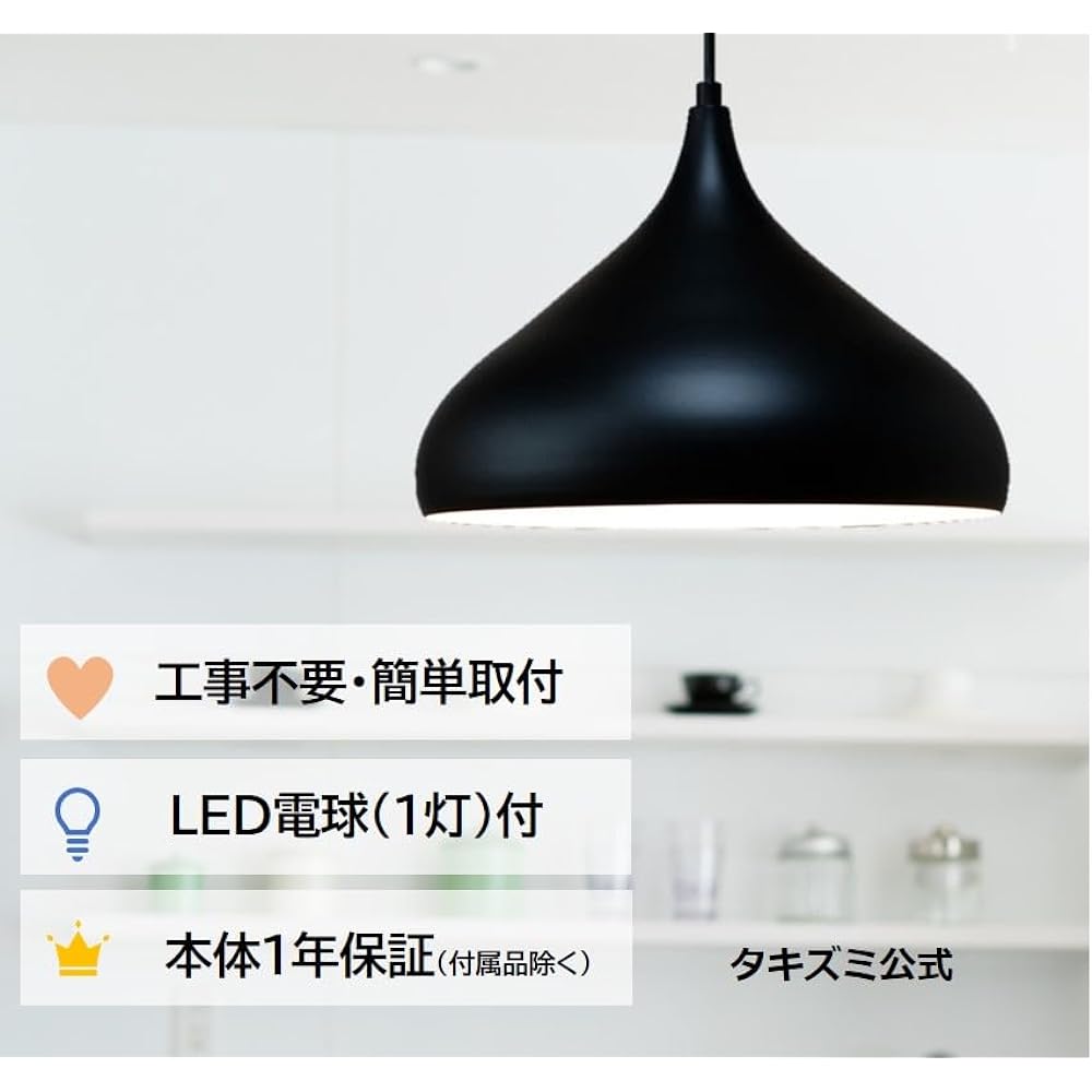 Takizumi Steel Sade Pendant Light LED Bulb x 1 Included GL1113P