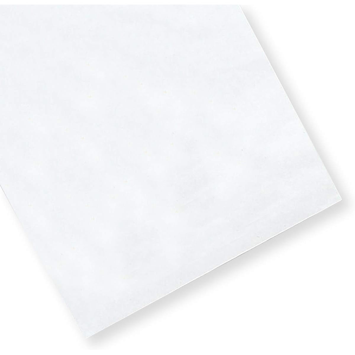Echizen Torinoko paper, white, thick, 4-cut, 50 sheets, 380x540mm, printmaking paper