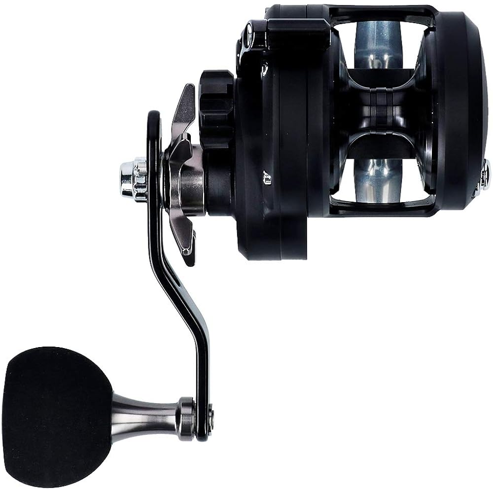 DAIWA bait reel 19 Catalina (2019 model)