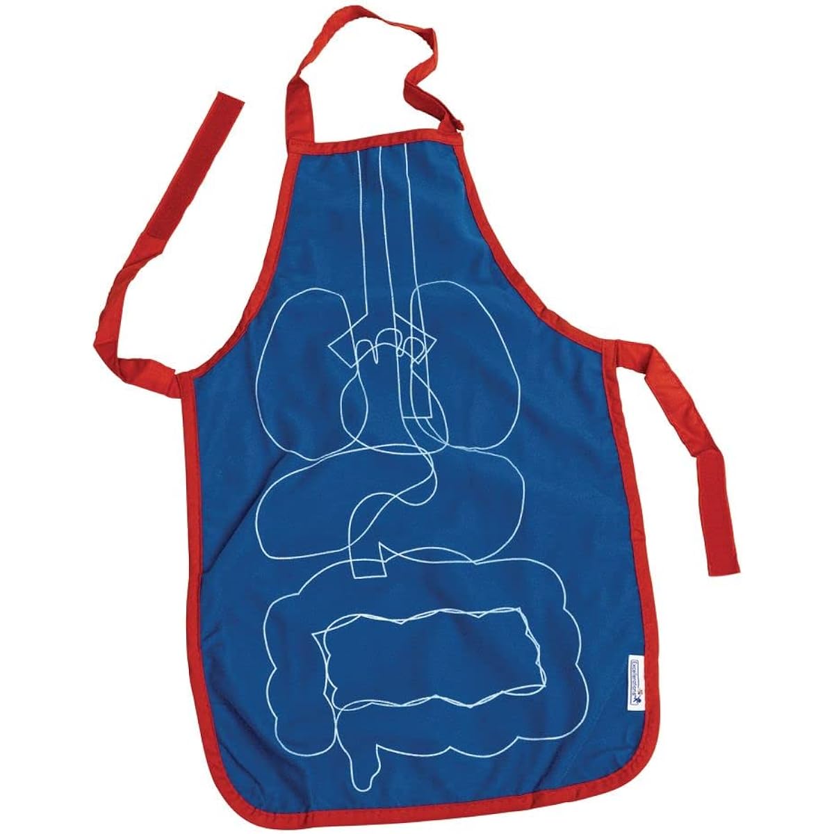 Excellerations 14.5 x 22 Inch Healthy Body Organ Apron 9 Pieces Educational Toys Kindergarten Health Education Human Body Kids Toys