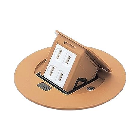 Panasonic Residential F Type Upcon Round 2 Ports Natural Birch 2P 15A 125V DU1100F