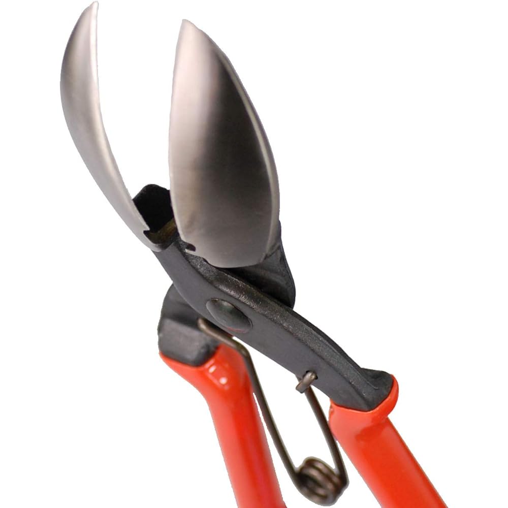 Pumpkin harvesting shears "Kabochan" can easily cut even hard stems! Convenient for cutting the roots of garlic and onions SUWADA