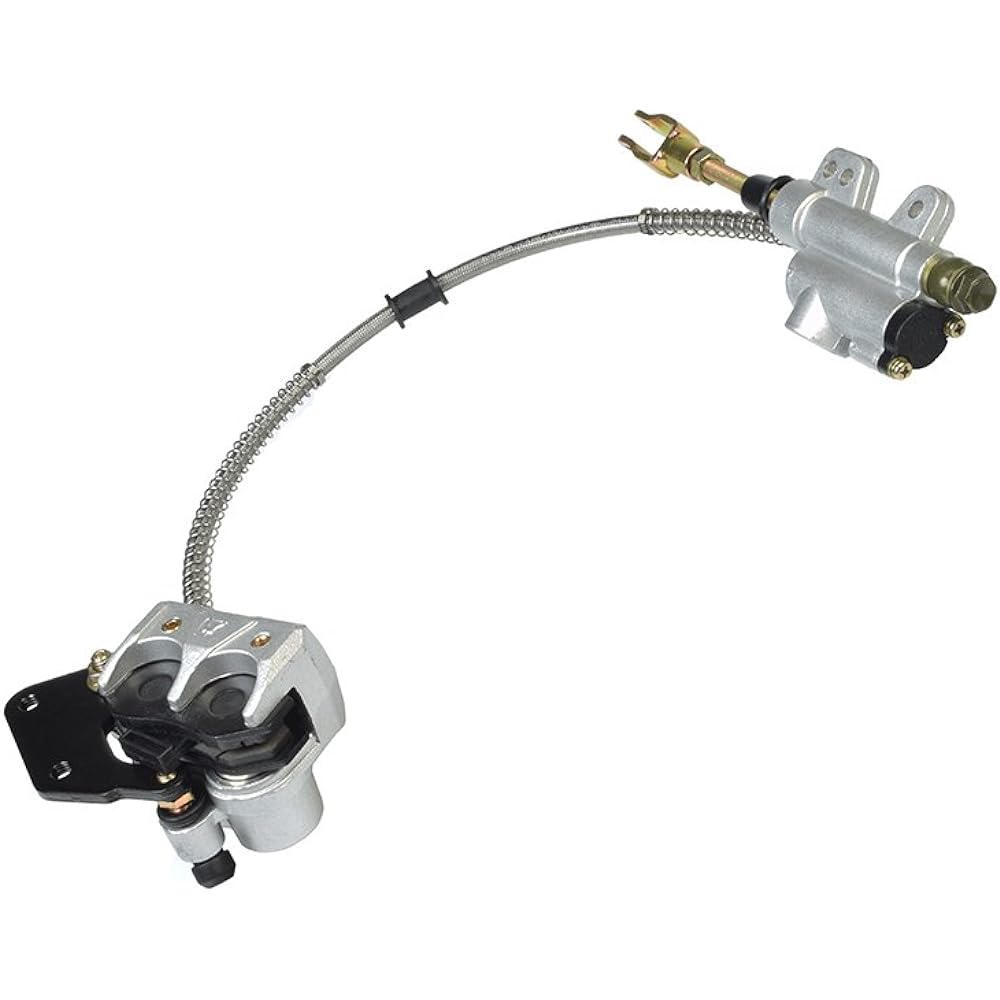 AlveyTech Rear Foot Brake, Disc, Pad, Master Cylinder Assembly for 110cc & 125cc Dirt Bikes