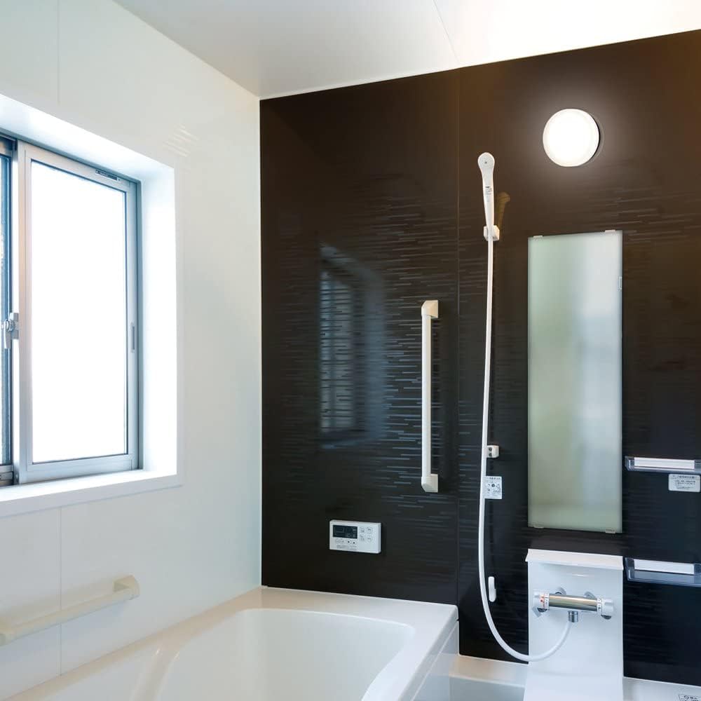 Iris Ohyama LED porch/bathroom light round daylight white 1020lm CL10N-CIPLS-BS