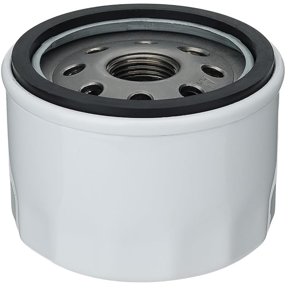 Panari 49065-7007 49065-0721 Fuel Oil Filter Kawasaki FR651V FR691V FR730V FS481V FS541V FS600V FS651V FS691V FS730V